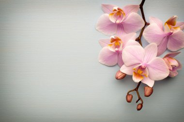 Spa. Ahşap arka plan ile yulaf ezmeli kurabiye.