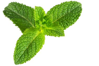 Nane. Beyaz arka plan üzerinde izole nane.