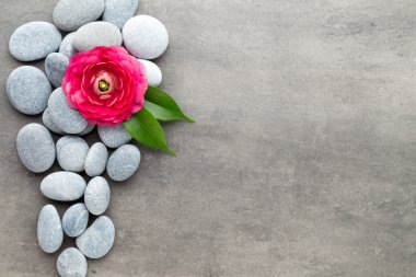 Gri arkaplandaki spa temalı nesnelerin görünümünü kapat.