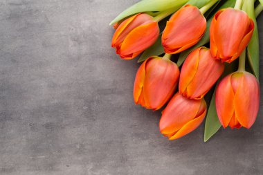 Orkide. Ahşap arka plan üzerinde pembe orkide.