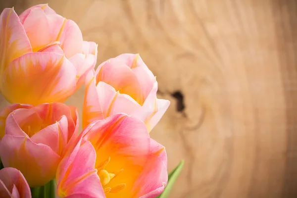 Orchid. Pink orchid on a wooden background. — Stock Photo, Image