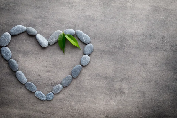 Kalp kaplıca taşlarından, gri arka planda..