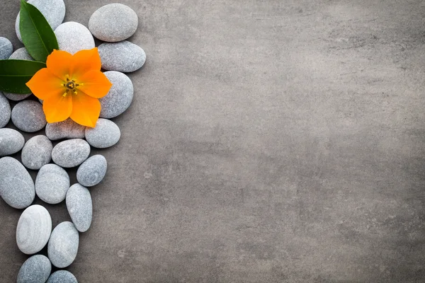 Spa stones on the grey  background. — Stock Photo, Image