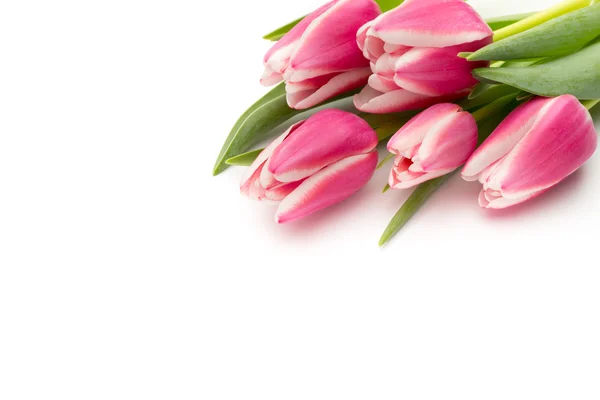 Tulips. Tulips, floral background. — Stock Photo, Image