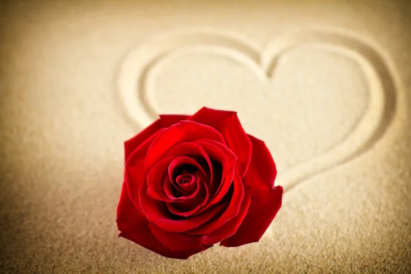 Strand de liefde. Rode roos op het zandstrand oppervlak van het hart. — Stockfoto