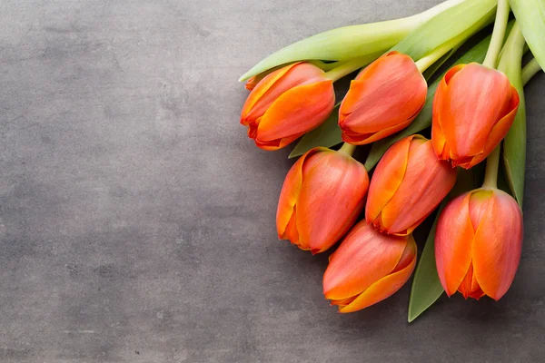 Tulips, orange on the grey  background. — Stock Photo, Image