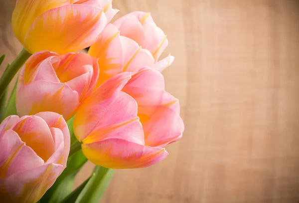 Tulips. Tulips, floral background. — Stock Photo, Image