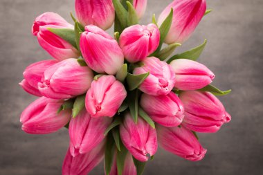 Gri arka plan üzerinde daha fazla Lale.