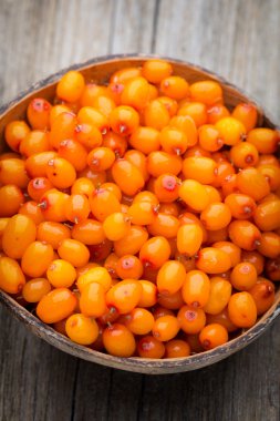 Baharat. Baharat karışımı ahşap arka plan üzerinde bir tahta kaşık.