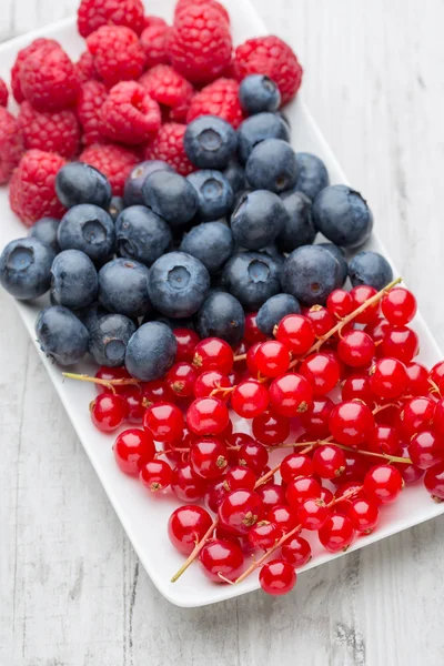 Fresh blueberries and red currant. — Stock Photo, Image