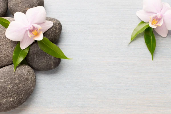 Orquídea sobre fondo de madera con piedras de spa . — Foto de Stock