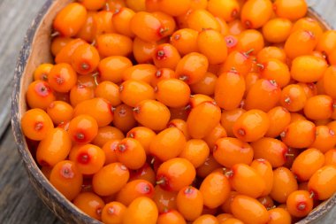 Ispanak. Stüdyo fotoğrafçılığı.