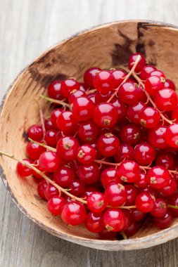 Ahşap bir kaseye yakın bir dalda kuşüzümü..