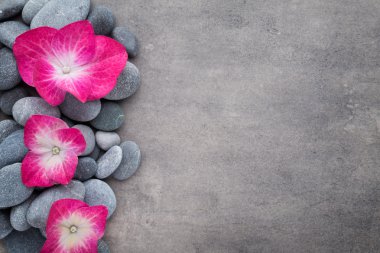 Gri arkaplandaki spa taşları ve çiçekler.