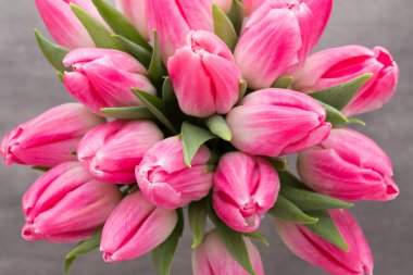 Gri arka plan üzerinde daha fazla Lale.