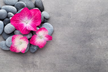 Gri arkaplandaki spa taşları ve çiçekler.