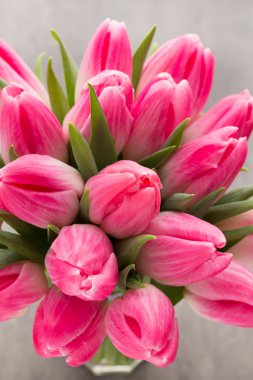 Gri arka plan üzerinde daha fazla Lale.