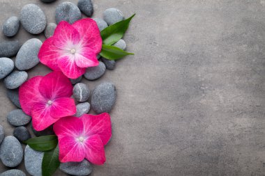 Gri arkaplandaki spa taşları ve çiçekler.