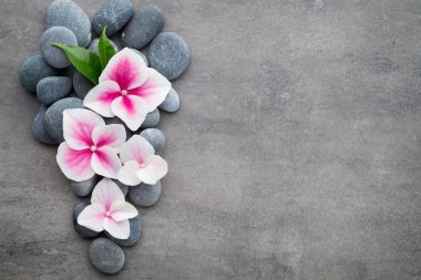 Gri arkaplandaki spa temalı nesnelerin görünümünü kapat.