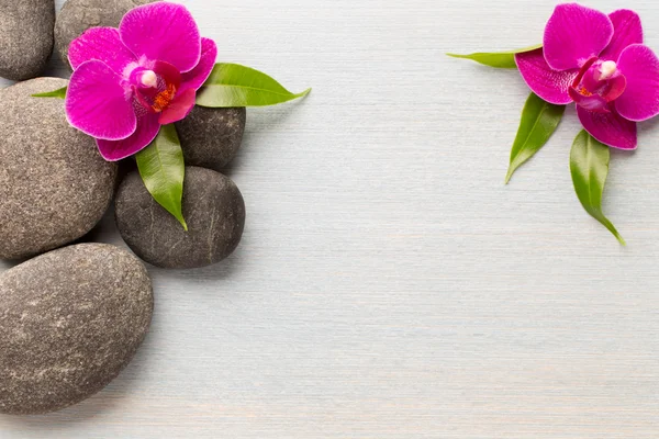 Vegetables.  On a wooden background. — Stock Photo, Image