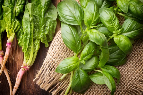 Vegetables. Spinach with root and basil. — Stock Photo, Image