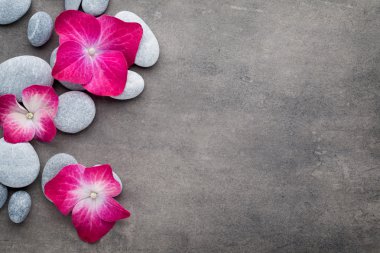 Gri arkaplandaki spa taşları ve çiçekler.