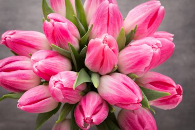 Gri arka plan üzerinde daha fazla Lale.