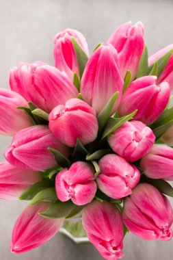 Gri arka plan üzerinde daha fazla Lale.