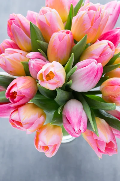 Tulpe, Blumen auf dem grauen Hintergrund. — Stockfoto