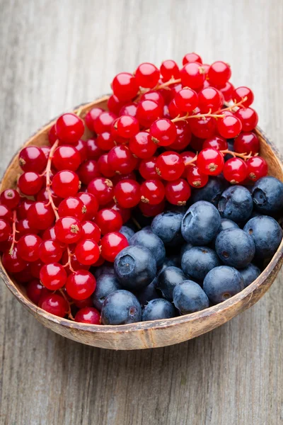 Fresh blueberries and red currant. — Stock Photo, Image