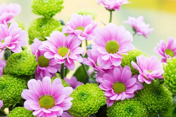 Pascua, flores de primavera de fondo. Más flores . —  Fotos de Stock