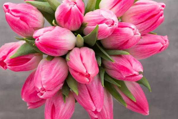 Mehr Tulpe auf dem grauen Hintergrund. — Stockfoto