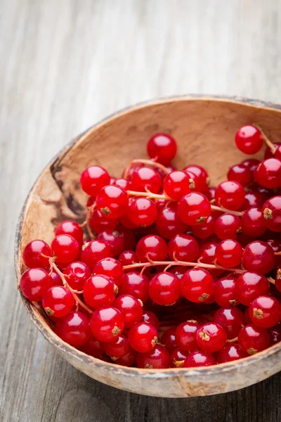 Redcurrant on a branch close to a wooden bowl. — Stock Photo, Image