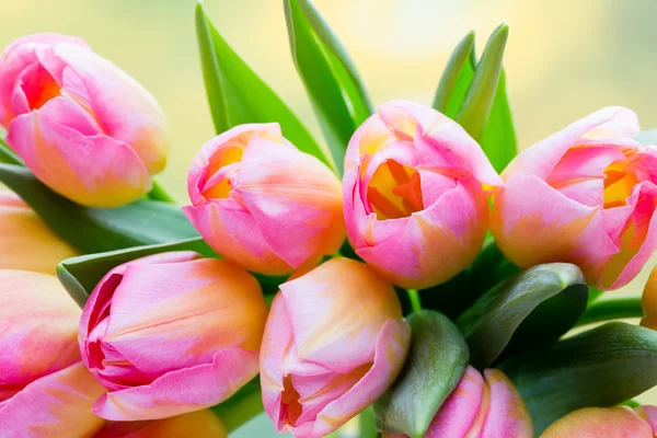 Frühlingsblumen. Tulpenstrauß auf dem Bokeh-Hintergrund. — Stockfoto