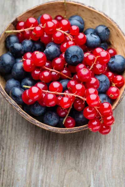 Fresh blueberries and red currant. — Stock Photo, Image