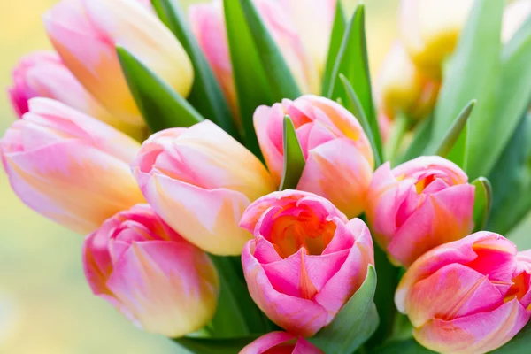 Frühlingsblumen. Tulpenstrauß auf dem Bokeh-Hintergrund. — Stockfoto