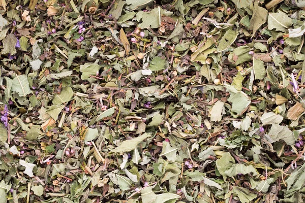 Té de hierbas plantas medicinales, homeopáticas. — Foto de Stock