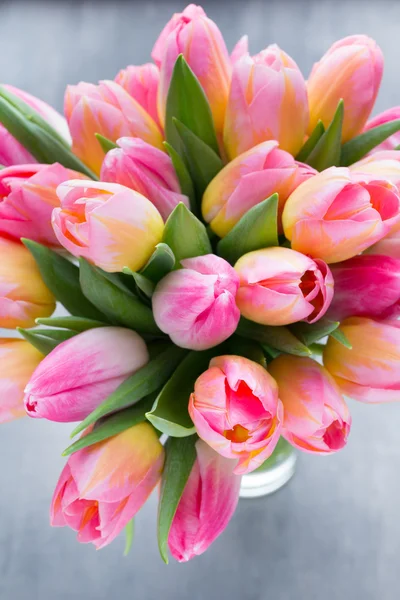 Тюльпан, цветы на сером фоне . — стоковое фото