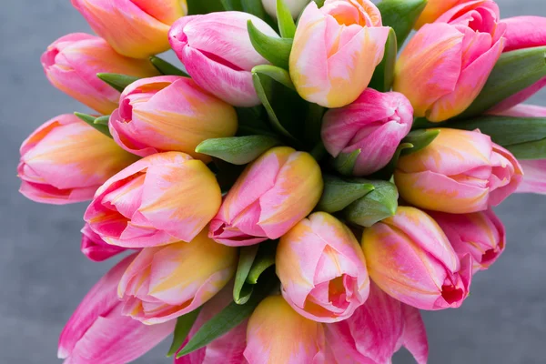 Tulpe, Blumen auf dem grauen Hintergrund. — Stockfoto