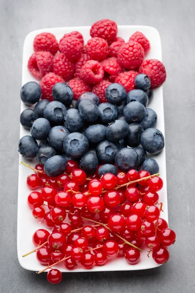 Fresh blueberries and red currant. — Stock Photo, Image