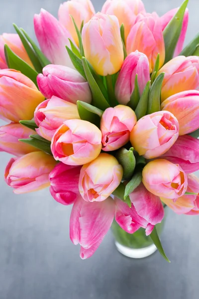 Tulpe, Blumen auf dem grauen Hintergrund. — Stockfoto