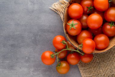 Gri arkaplanda domates.