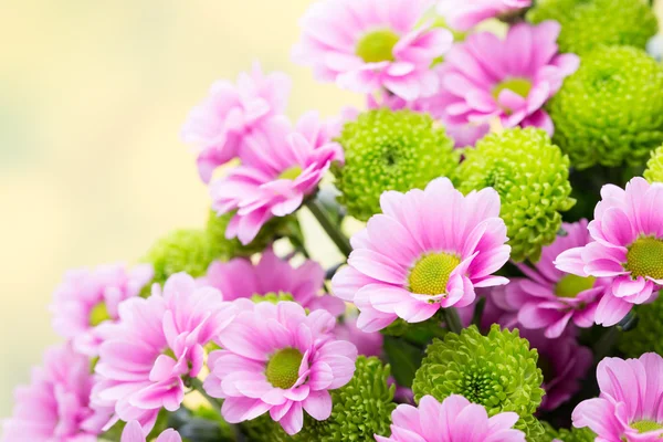 Easter, spring flowers background. More flowers. — Stock Photo, Image