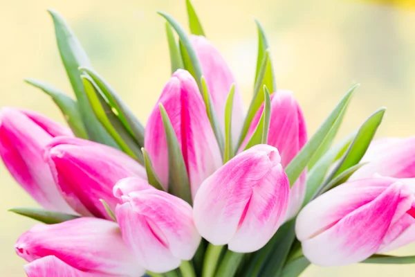 Frühlingsblumen. Tulpenstrauß auf dem Bokeh-Hintergrund. — Stockfoto