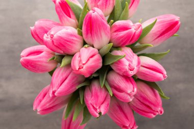 Gri arka plan üzerinde daha fazla Lale.