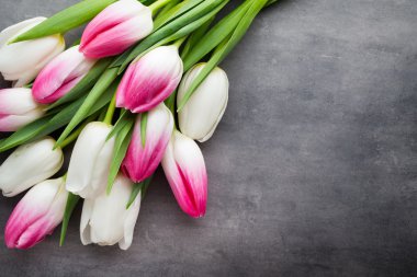 Gri arka plan üzerinde daha fazla Lale. 