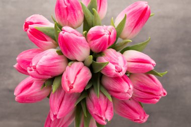 Gri arka plan üzerinde daha fazla Lale.