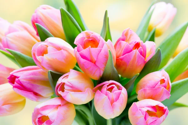 Frühlingsblumen. Tulpenstrauß auf dem Bokeh-Hintergrund. — Stockfoto
