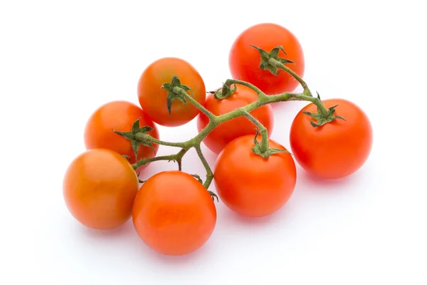 Tomato on the white isolatd background. — Stock Photo, Image