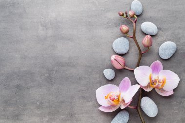 Spa orkide Tema nesneleri gri arka plan üzerinde.